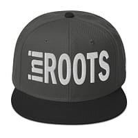 snapback-black-charcoal-gray-charcoal-gray-front-67d2d49ca54e3.jpg INI ROOTS (ε)