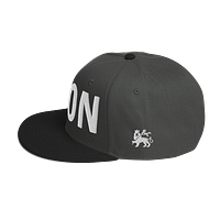 snapback-black-charcoal-gray-charcoal-gray-left-side-67d2acbcbdebe.png LET’S GO TO ZION (ε)