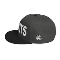 snapback-black-charcoal-gray-charcoal-gray-left-side-67d2d49ca576d.jpg INI ROOTS (ε)