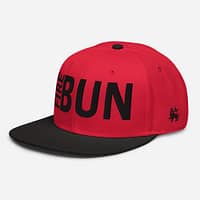snapback-black-red-red-left-front-67d2bd5480569.jpg FIRE BUN - Snapback Hat (α)
