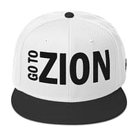 snapback-black-white-white-front-67d2a40c1a224.jpg LET’S GO TO ZION (α)