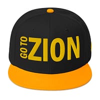 snapback-gold-black-black-front-67d2ab435a329.jpg LET’S GO TO ZION (β)
