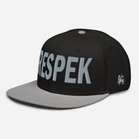snapback-gray-black-black-left-front-67d2cdcbee98c.jpg RESPEK (γ)