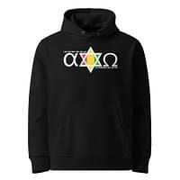 unisex-essential-eco-hoodie-black-front-67ea8bd3d70c3.jpg ALPHA & OMEGA HOODIE (α)