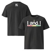 unisex-organic-cotton-t-shirt-dark-heather-grey-front-and-back-67ea5798afce3.jpg IANDI classic tee (β)
