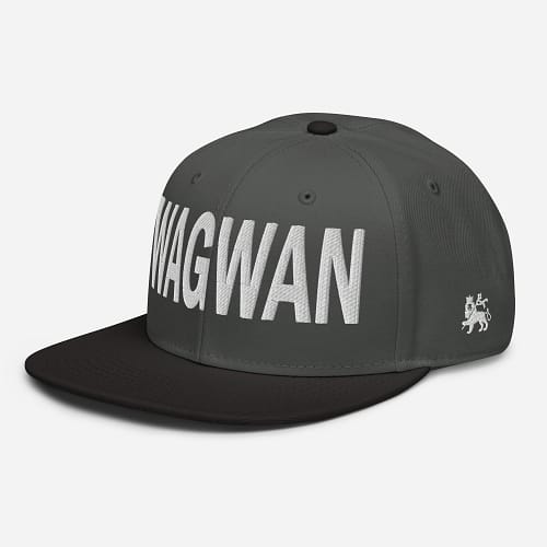 snapback-black-charcoal-gray-charcoal-gray-left-front-67d2d76d4e502.jpg WAGWAN (ε)
