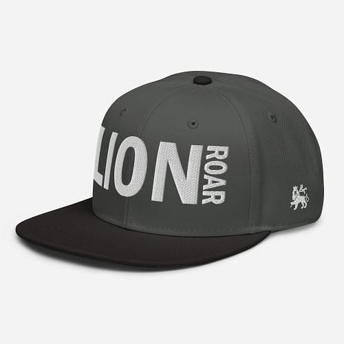 snapback-black-charcoal-gray-charcoal-gray-left-front-67d2dc7eb2c4b.jpg LION ROAR (ε)