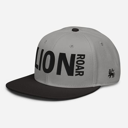 snapback-black-gray-gray-left-front-67d2db6294d57.jpg LION ROAR (α)