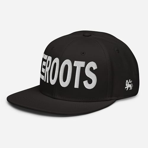 snapback-black-left-front-67d2d49ca4efd.jpg INI ROOTS (ε)