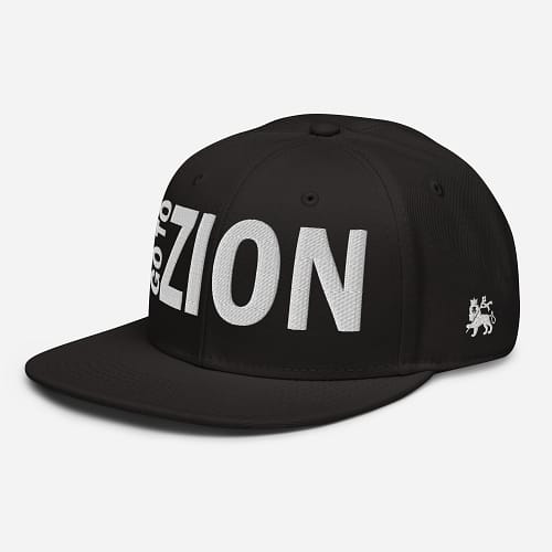 snapback-black-left-front-67d5a665a2848.jpg LET’S GO TO ZION (ε)