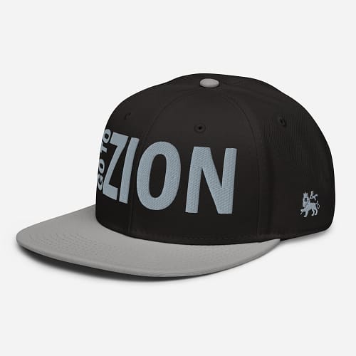 snapback-gray-black-black-left-front-67d2ae1a3e1a6.jpg LET’S GO TO ZION (γ)