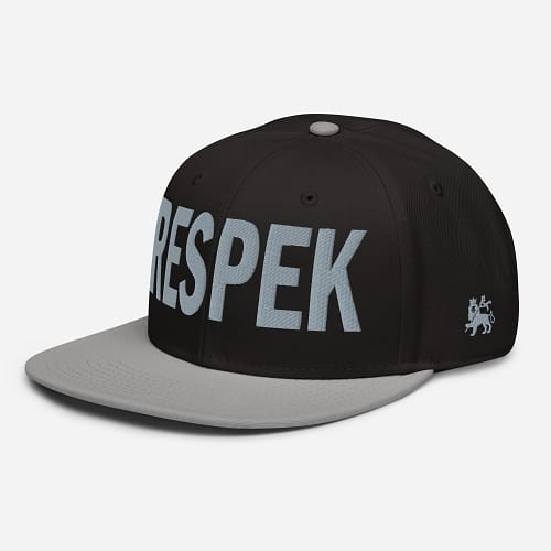 snapback-gray-black-black-left-front-67d2cdcbee98c.jpg RESPEK (γ)