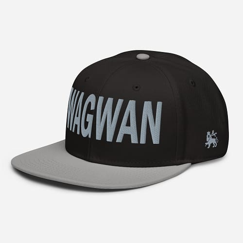 snapback-gray-black-black-left-front-67d2d6ea2107f.jpg WAGWAN (γ)