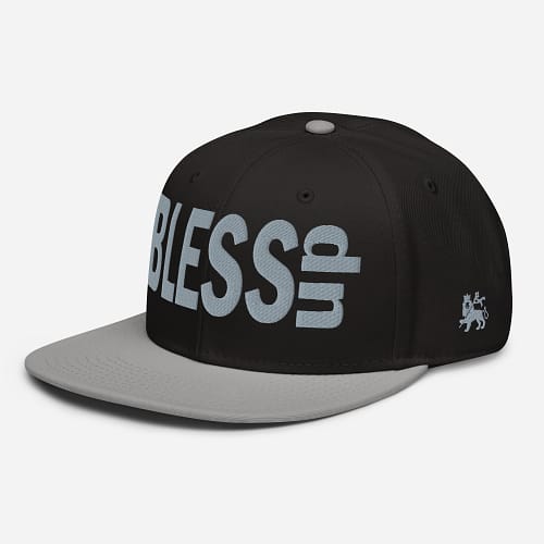 snapback-gray-black-black-left-front-67d2d91a644e7.jpg BLESS UP (γ)
