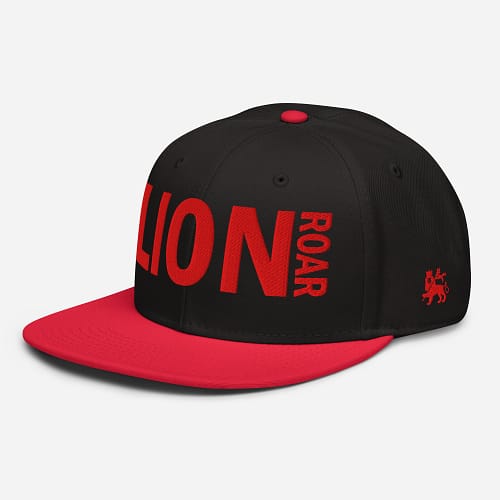 snapback-red-black-black-left-front-67d2dc3142c25.jpg LION ROAR (δ)