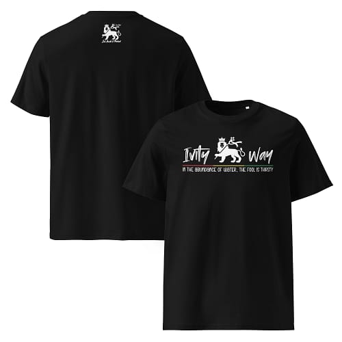 unisex-organic-cotton-t-shirt-black-front-and-back-67ea536bc2d04.jpg IVITY WAY classic tee (β)