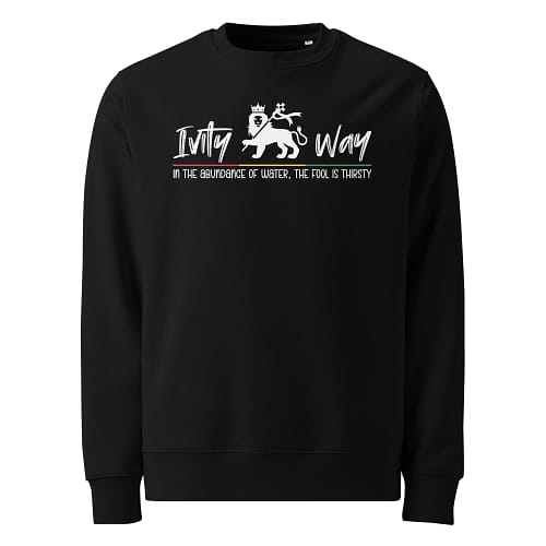 unisex-eco-sweatshirt-black-front-67eba6991b232.jpg IVITY WAY Sweatshirt (β)