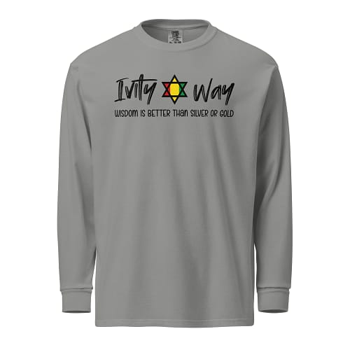 unisex-garment-dyed-heavyweight-long-sleeve-shirt-grey-front-67eba2a10ae44.jpg IVITY WAY WISDOM long-sleeve (α)
