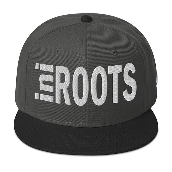 snapback-black-charcoal-gray-charcoal-gray-front-67d2d49ca54e3.jpg INI ROOTS (ε)