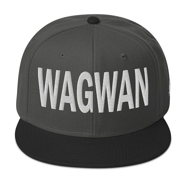 snapback-black-charcoal-gray-charcoal-gray-front-67d2d76d4f940.jpg WAGWAN (ε)