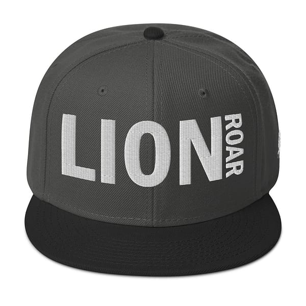 snapback-black-charcoal-gray-charcoal-gray-front-67d2dc7eb53a7.jpg LION ROAR (ε)