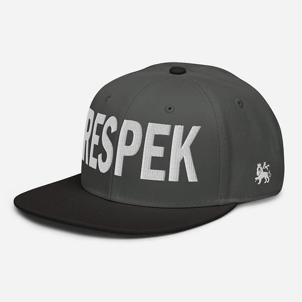 snapback-black-charcoal-gray-charcoal-gray-left-front-67d2ce6ac2219.jpg RESPEK (ε)