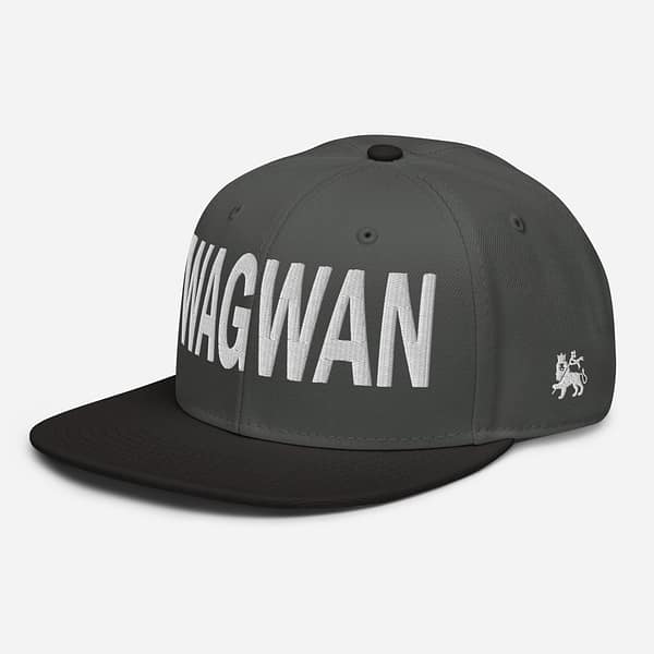 snapback-black-charcoal-gray-charcoal-gray-left-front-67d2d76d4e502.jpg WAGWAN (ε)