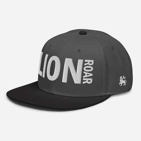 snapback-black-charcoal-gray-charcoal-gray-left-front-67d2dc7eb2c4b.jpg LION ROAR (ε)