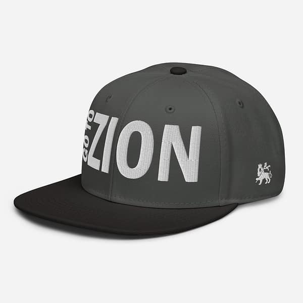 snapback-black-charcoal-gray-charcoal-gray-left-front-67d5a665a33c5.jpg LET’S GO TO ZION (ε)