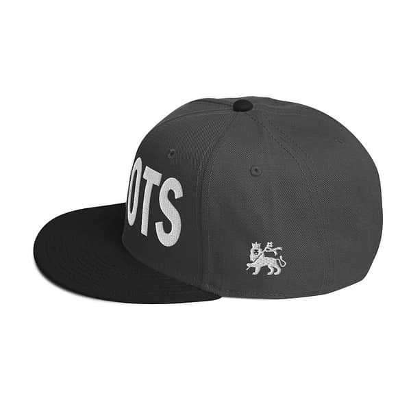 snapback-black-charcoal-gray-charcoal-gray-left-side-67d2d49ca576d.jpg INI ROOTS (ε)