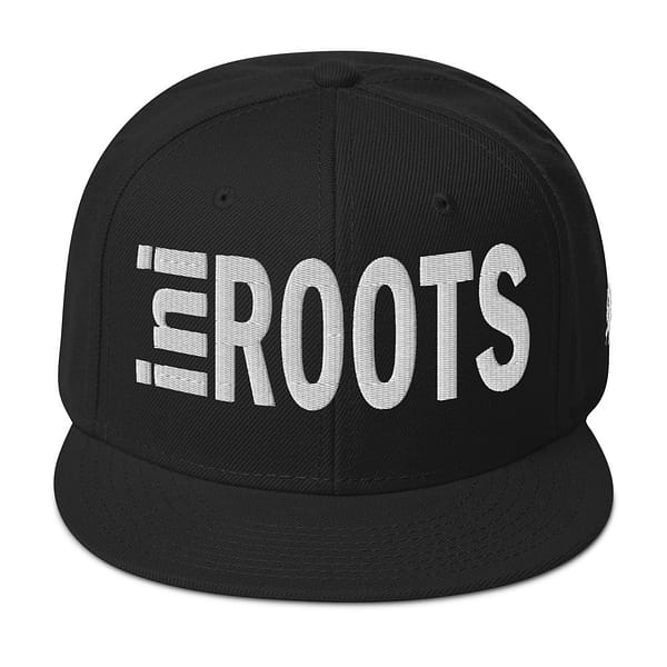 snapback-black-front-67d2d49ca50fc.jpg INI ROOTS (ε)