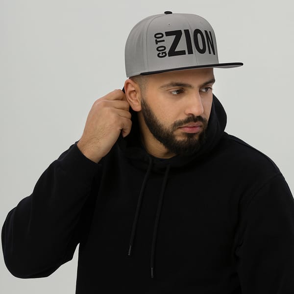 snapback-black-gray-gray-front-67d2a40c194d3.jpg LET’S GO TO ZION (α)
