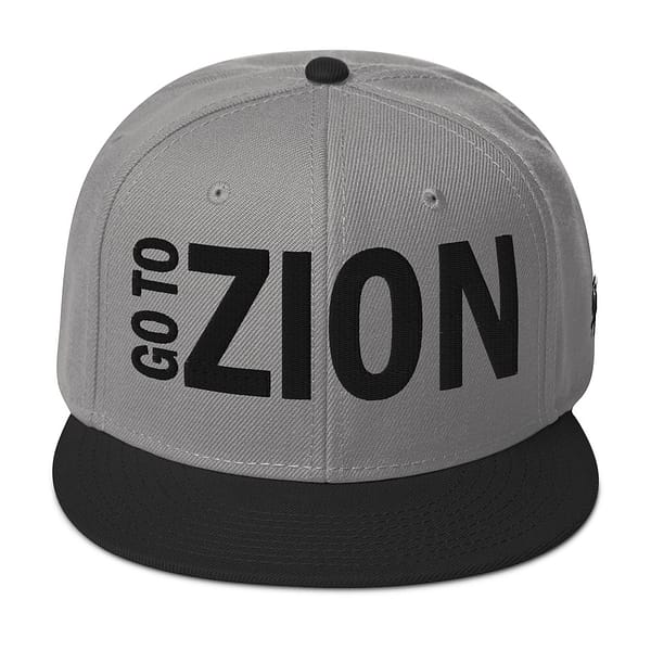 snapback-black-gray-gray-front-67d2a40c19c28.jpg LET’S GO TO ZION (α)