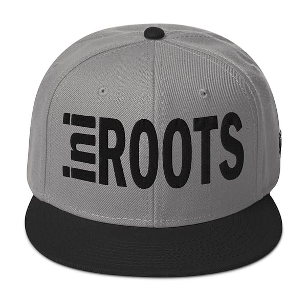 snapback-black-gray-gray-front-67d2d35907abc.jpg INI ROOTS (α)