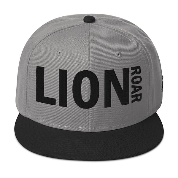 snapback-black-gray-gray-front-67d2db629635f.jpg LION ROAR (α)