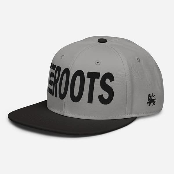 snapback-black-gray-gray-left-front-67d2d3590692f.jpg INI ROOTS (α)