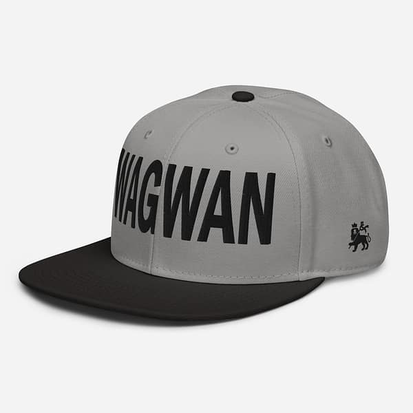 snapback-black-gray-gray-left-front-67d2d6433e6dd.jpg WAGWAN (α)