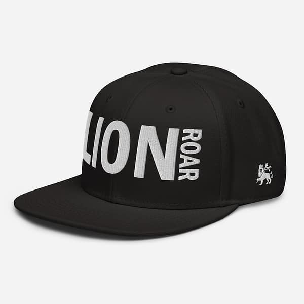 snapback-black-left-front-67d2dc7eb48cd.jpg LION ROAR (ε)