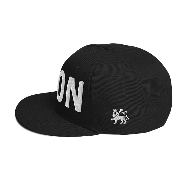 snapback-black-left-side-67d2acbcbd9bc.png LET’S GO TO ZION (ε)