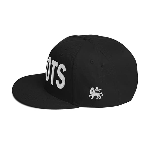 snapback-black-left-side-67d2d49ca52d3.jpg INI ROOTS (ε)