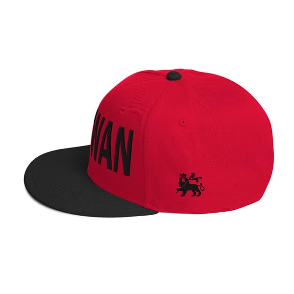 snapback-black-red-red-left-side-67d2d6433ef37.jpg WAGWAN (α)