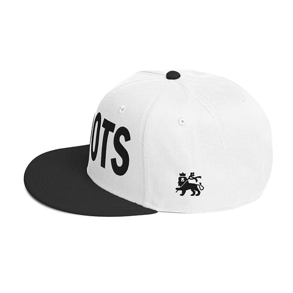 snapback-black-white-white-left-side-67d2d35908a90.jpg INI ROOTS (α)