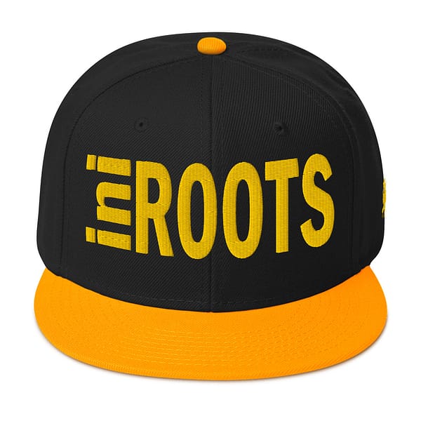 snapback-gold-black-black-front-67d2d39f4290b.jpg INI ROOTS (β)