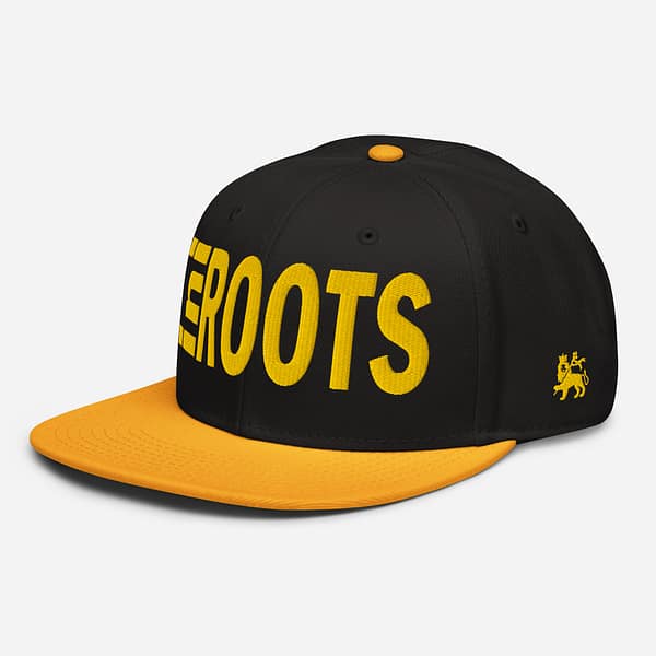 snapback-gold-black-black-left-front-67d2d39f4084d.jpg INI ROOTS (β)