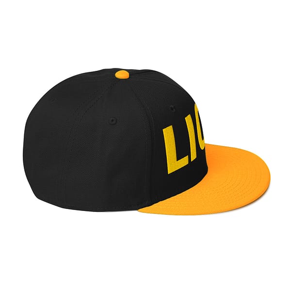 snapback-gold-black-black-right-side-67d2dba387cca.jpg LION ROAR (β)