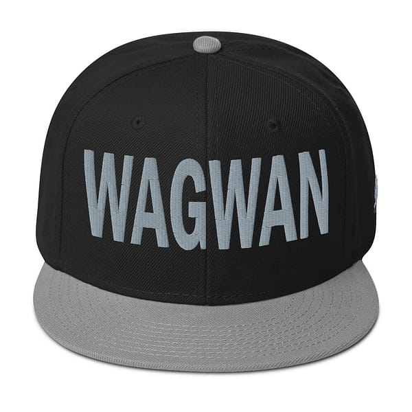 snapback-gray-black-black-front-67d2d6ea22743.jpg WAGWAN (γ)
