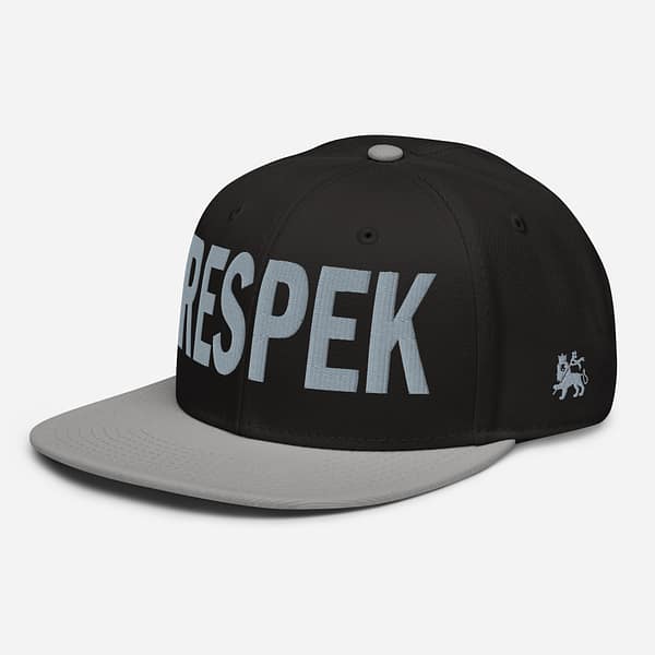 snapback-gray-black-black-left-front-67d2cdcbee98c.jpg RESPEK (γ)