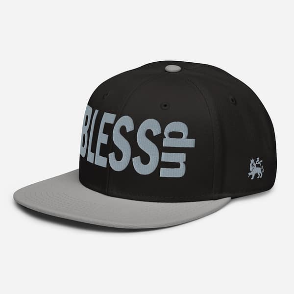 snapback-gray-black-black-left-front-67d2d91a644e7.jpg BLESS UP (γ)