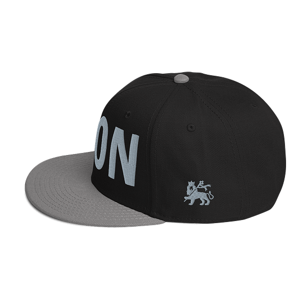 snapback-gray-black-black-left-side-67d2abdb800ed.png LET’S GO TO ZION (γ)