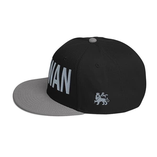 snapback-gray-black-black-left-side-67d2d6ea22941.jpg WAGWAN (γ)